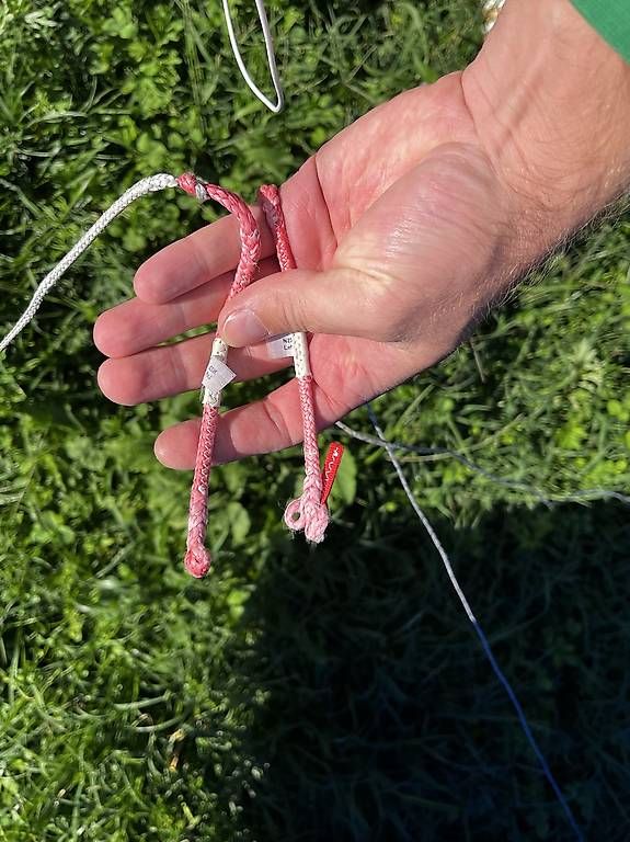 Kite: North Orbit 8 – Gebraucht aus Luzern von max_w2rv 1