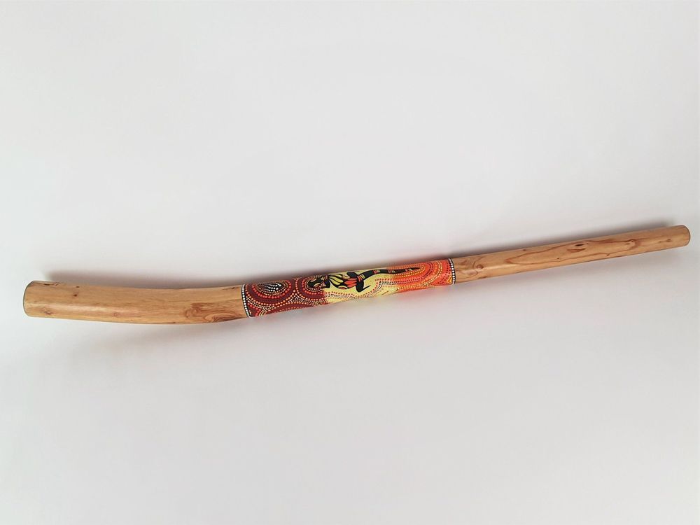 TERRÉ Didgeridoo aus Teakholz Kaufen auf Ricardo