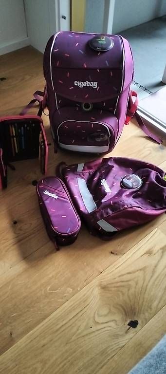 Ergobag Borse & Zaini: Ergoback Schulthek (1.-3. Klasse) – Usato da Zürich venduto da fab_p8y6 1