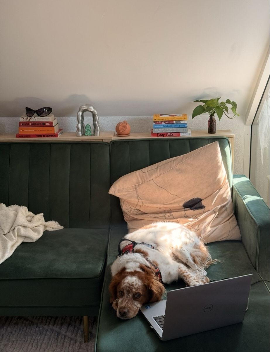 Divani: Green Sofa  – Usato da Zürich venduto da Per_59hd