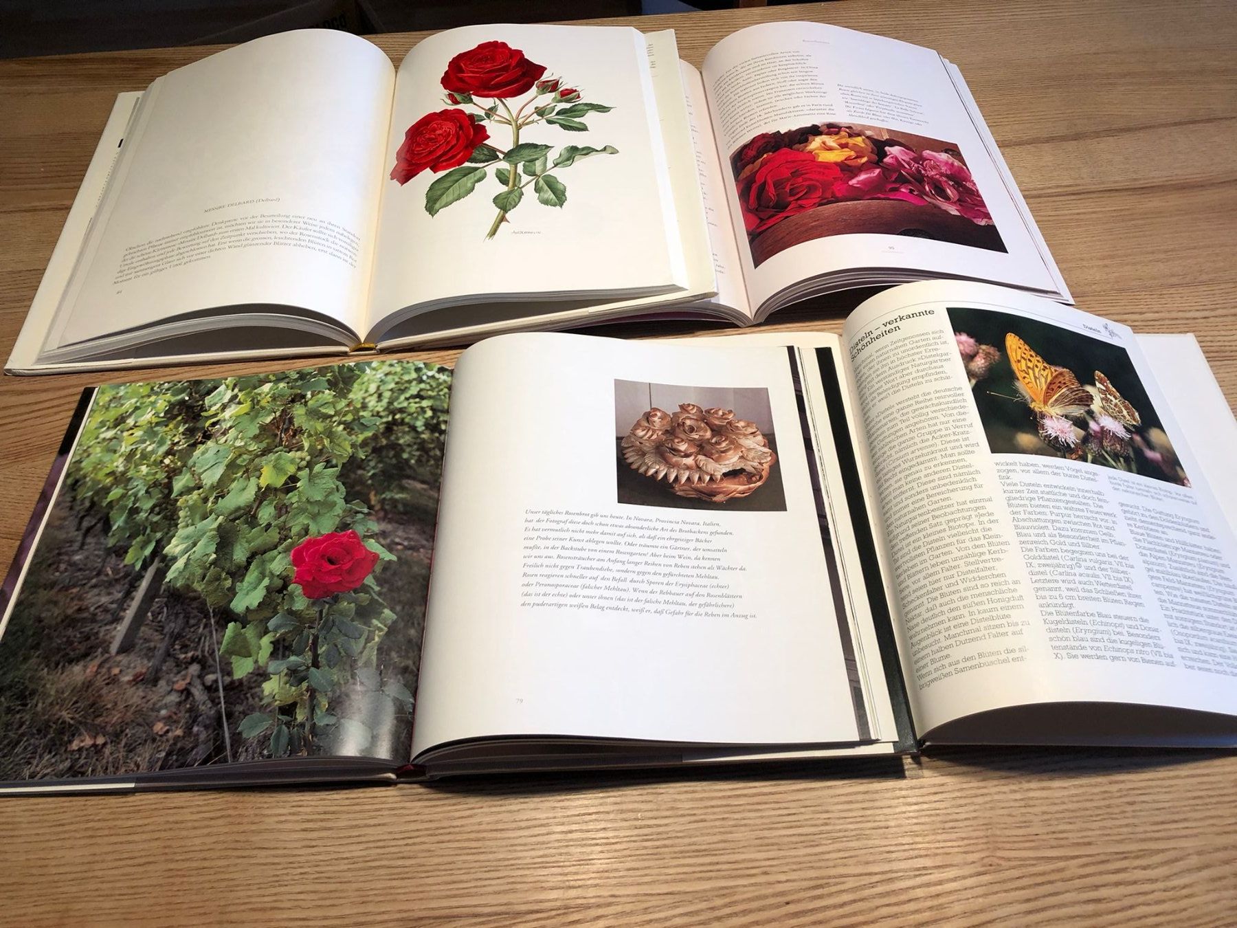 Bücher: 4 Bücher über Rosen und Garten – Gebraucht aus Röschenz von Tashroal 3