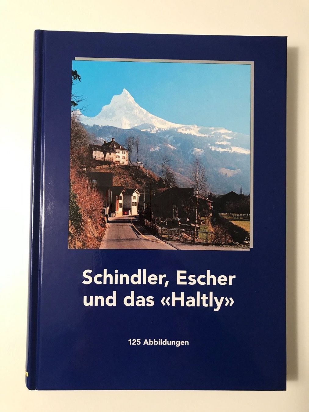 Libri: Buch Schindler, Escher und das Haltly – Usato da Näfels venduto da fritzjk