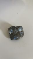 Seltener Boulder Opal Rohstein – Fundstück aus Australien!