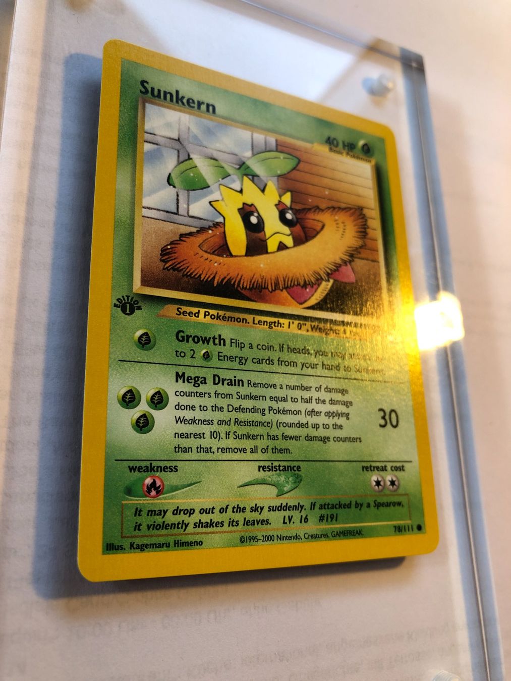 Sammelbilder & Trading cards: Sunkern 1st Neo Genesis - NM - ab 1.- – Gebraucht aus Giubiasco von dan_pr8b 1