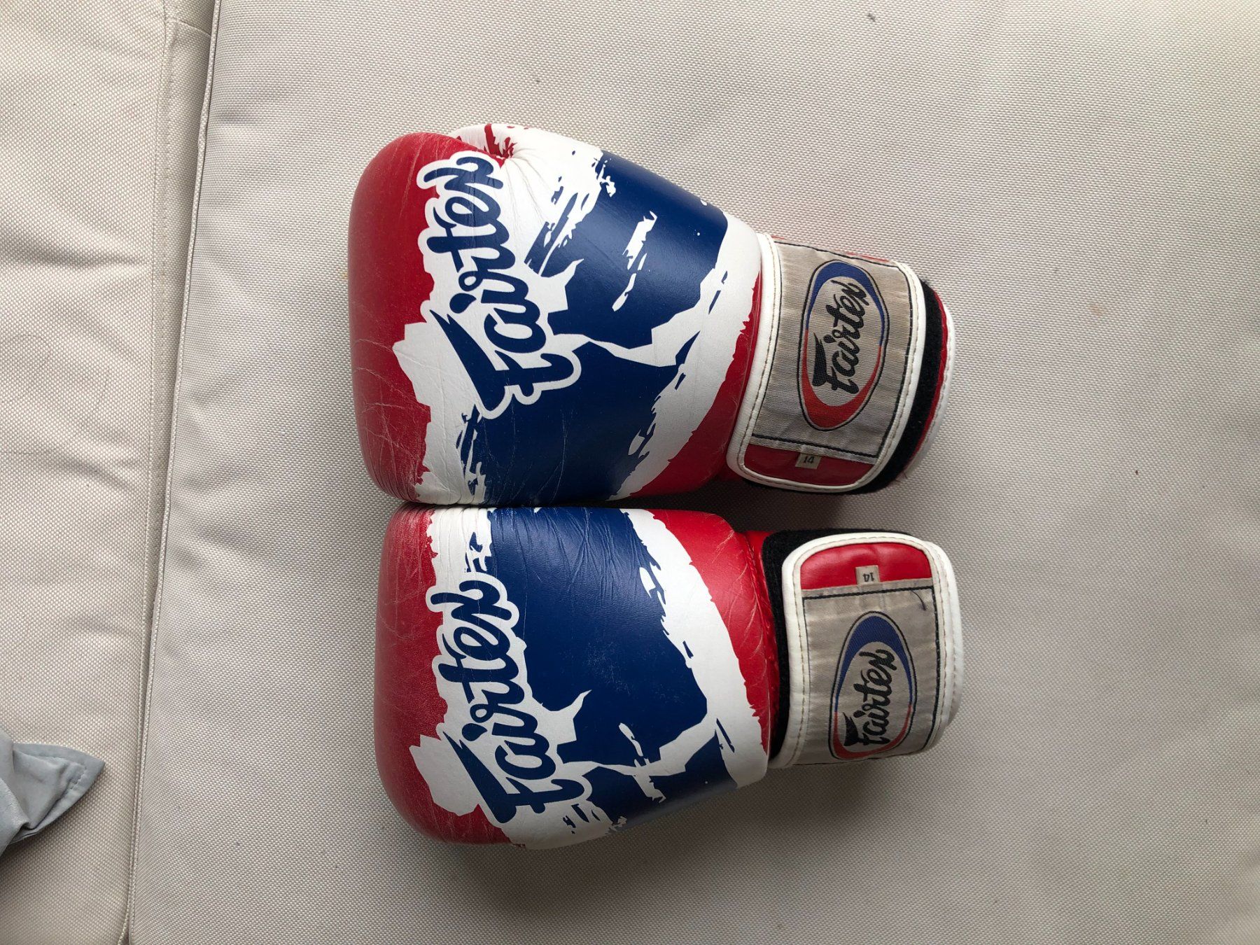 Guanti & manicotti: FAIRTEX BGV1 Thai Pride – Usato da Nyon venduto da ppavlov