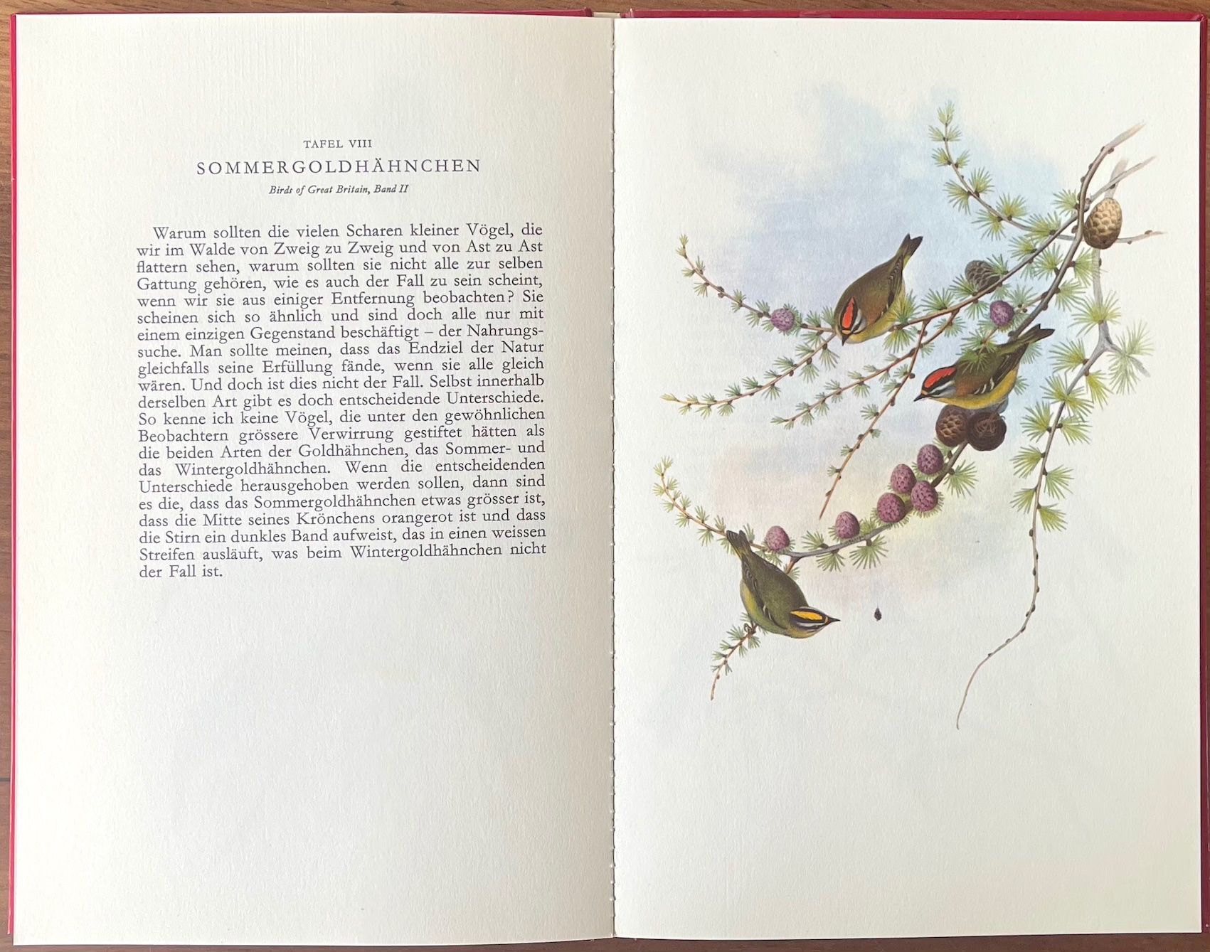 Libri: Farbenfrohe Vogelwelt - Hallwag – Usato da Burgdorf venduto da Bsb7 2