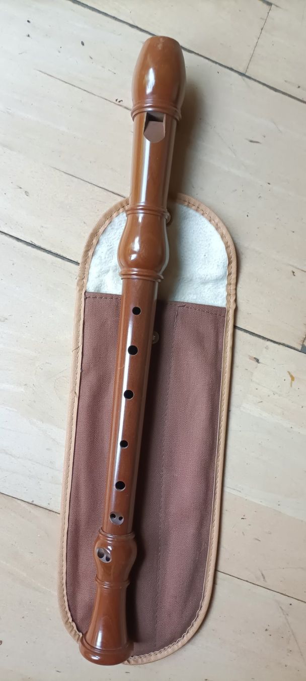 Instruments de musique: Altflöte Fehr – D'occasion à Winterthur par gwli
