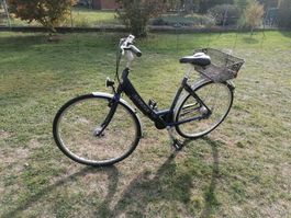Damen Fahrrad