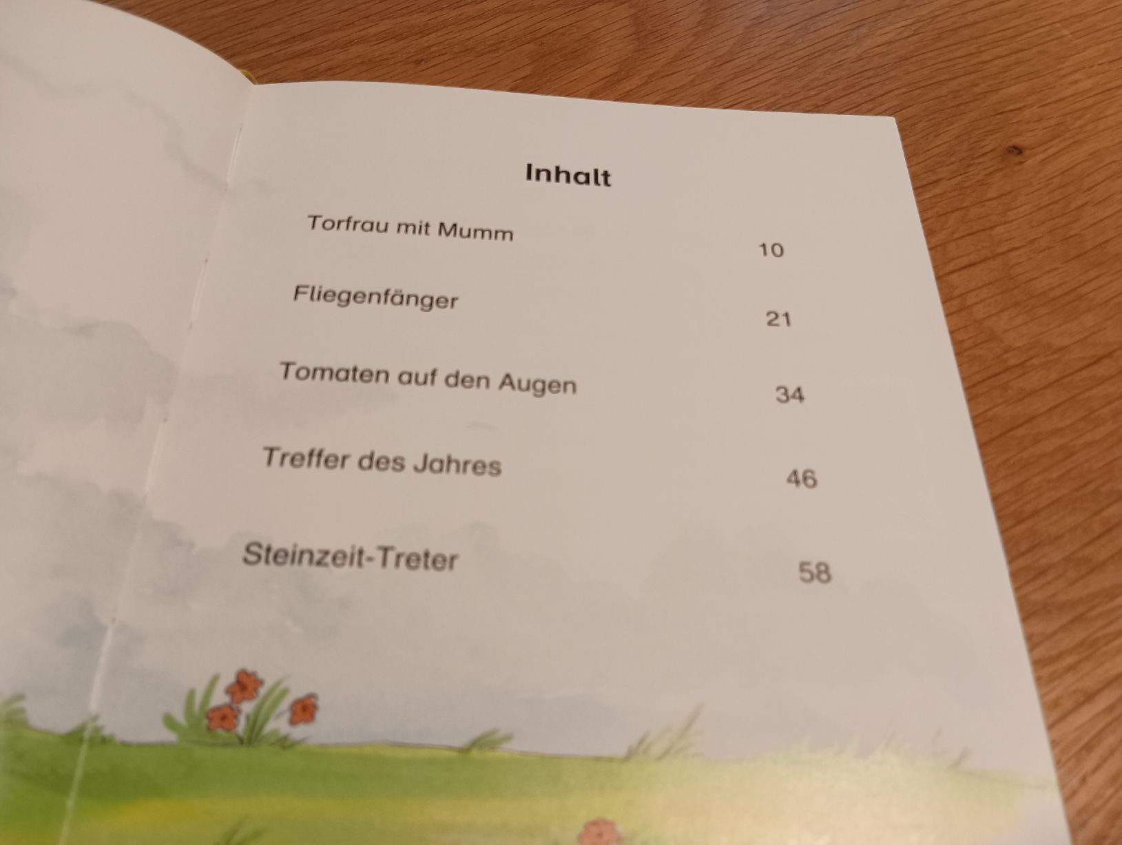 Libri: Fussballgeschichten – Usato da Densbüren venduto da H-76 2