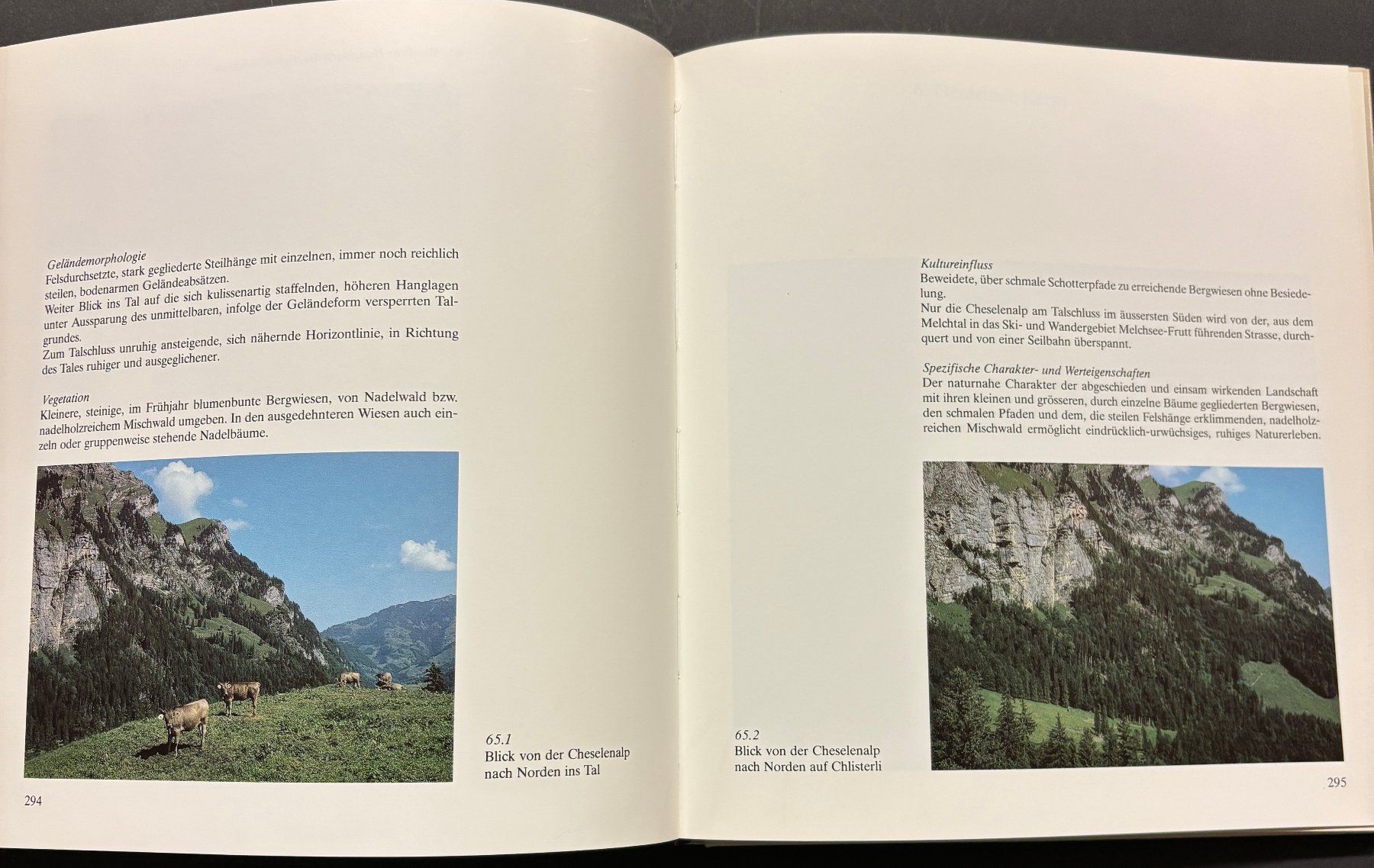 Libri: Landschaftsschutz in Obwalden – Usato da Sarnen venduto da Livres 5