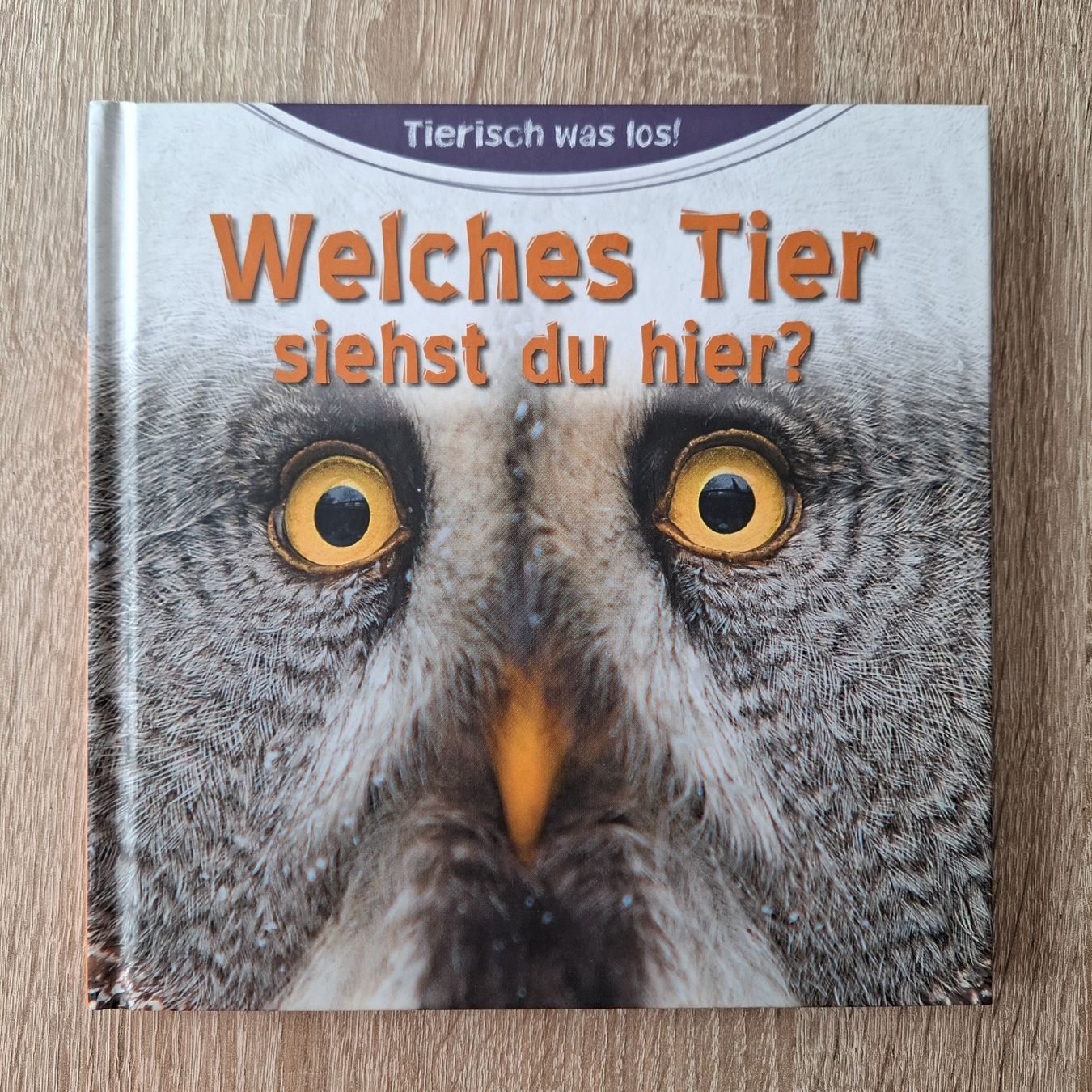 Libri: 6 Kinderbücher "Welches Tier..." – Nuovo (secondo la descrizione) da Hägglingen venduto da Pilipadin 4