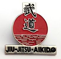 PIN Jiu-Jutsu Aikido