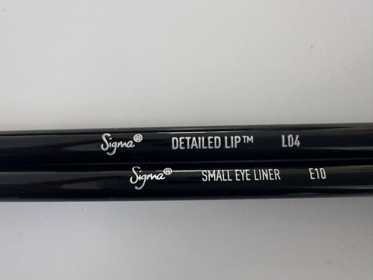 Make-up: 2 Sigma Makeup Brushes, Eye Liner E10 & Lip Brush L04 – Nuovo (secondo la descrizione) da Bülach venduto da ViktoriiaMatus 1