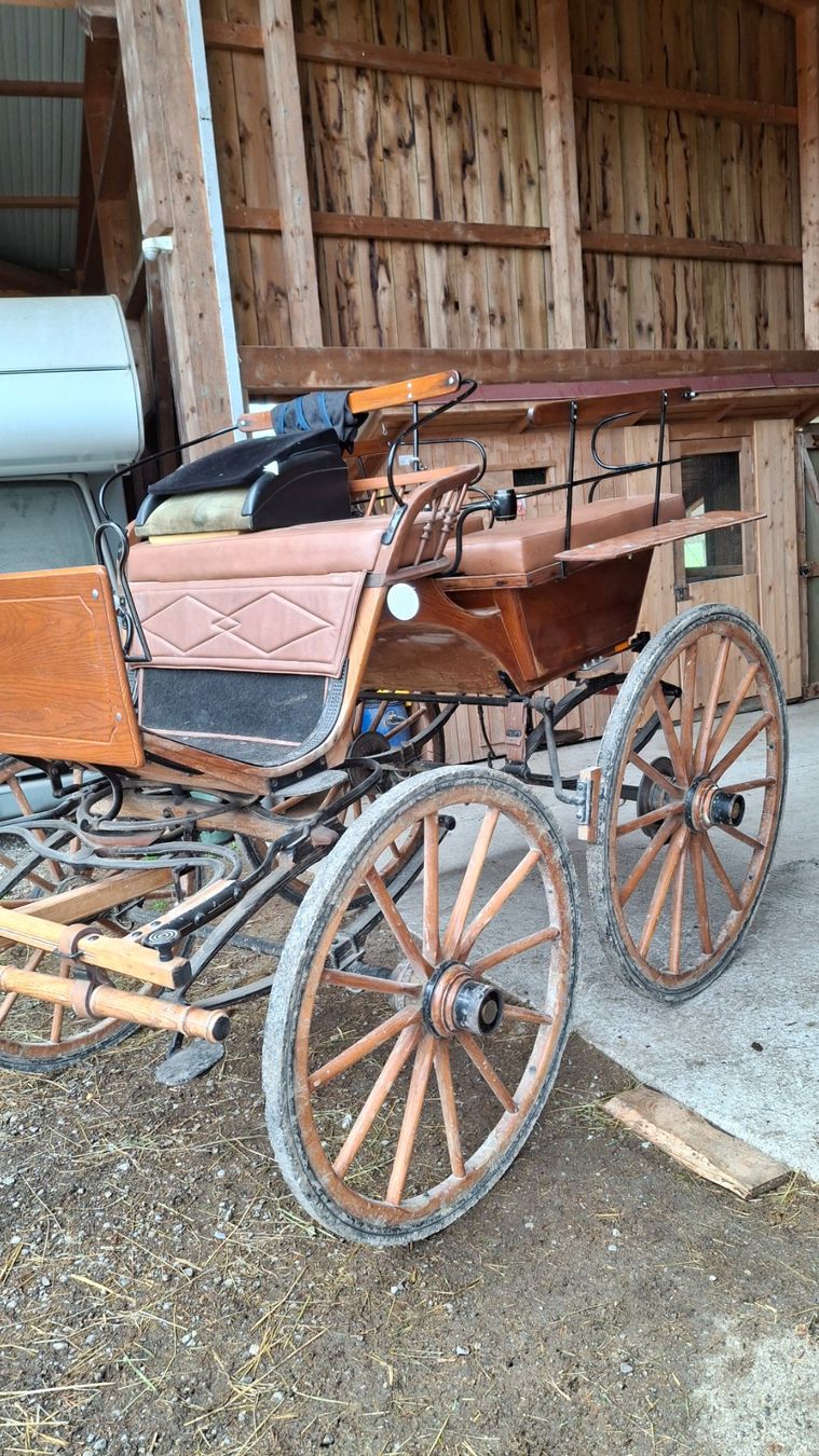 Calèches: Oldtimer Holzbreak – D'occasion à Möriken AG par rotone 5