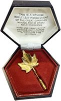 Feuille d'érable véritable plaquée or 24 carats rare ✨🍁