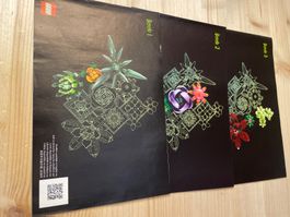 LEGO Sukkulenten 10309 gebraucht in Karton verpackt