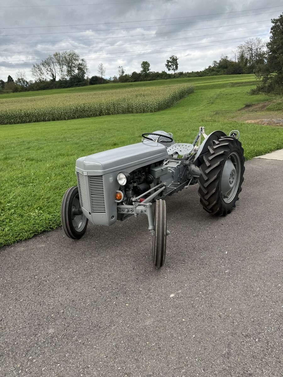 Massey Ferguson Trattori: Ferguson TED 20 B-Pflug – Usato da Zezikon venduto da fridalift 1
