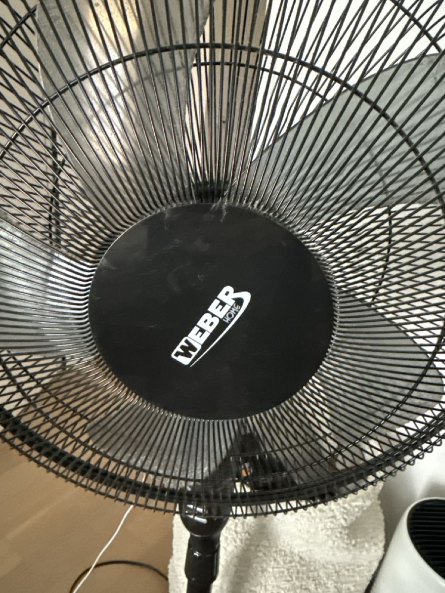 Ventilateurs: Starker Weber Ventilator mit Fernbedienung – D'occasion à Langenthal par Salipali
