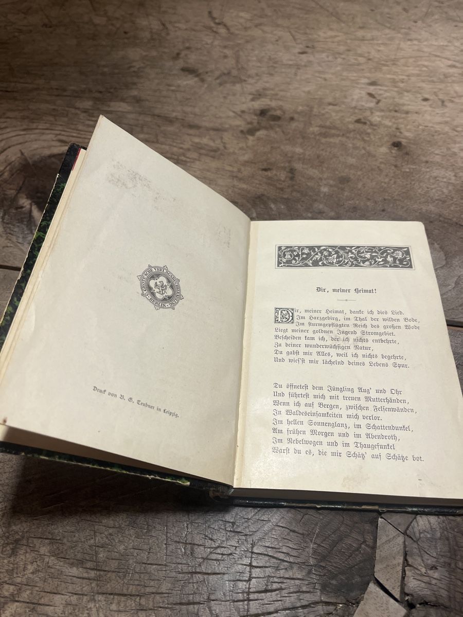 Bücher: Antikes Buch "Der wilde Jäger" von Julius Wolff, 1877 – Gebraucht aus Zuoz von Grr1974 4