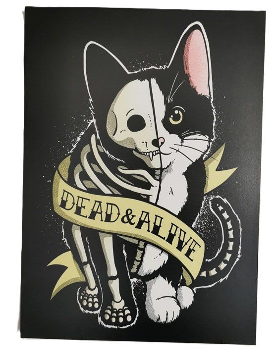 Foto & Immagini: Katze Dead & alive - Bild auf Holz – Usato da Wilen b. Wollerau venduto da morethanmusic