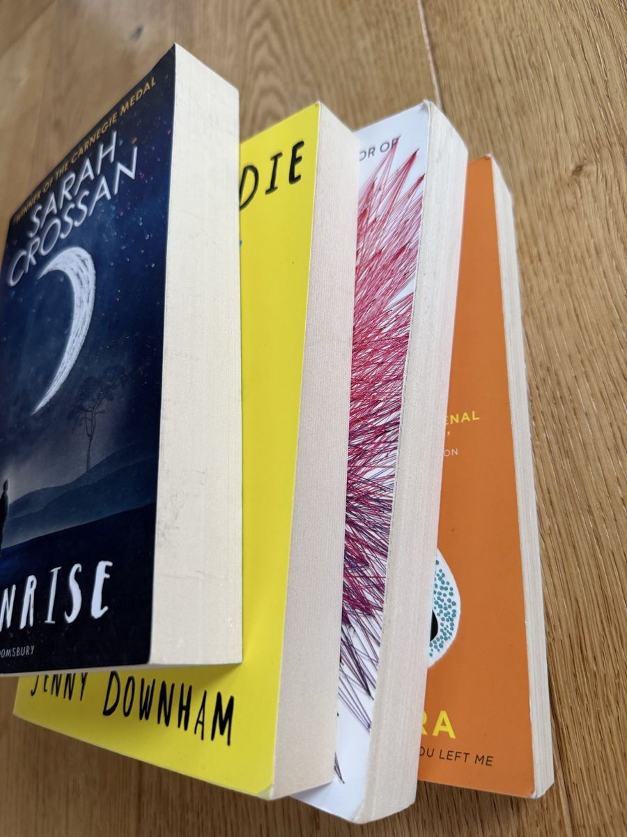 Libri: 4 tolle Romane in Englisch – Usato da Zürich venduto da turicum2008 6