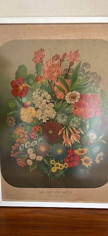 Foto & Immagini: Illustration – Usato da Oberaach venduto da sinsemilla13 1