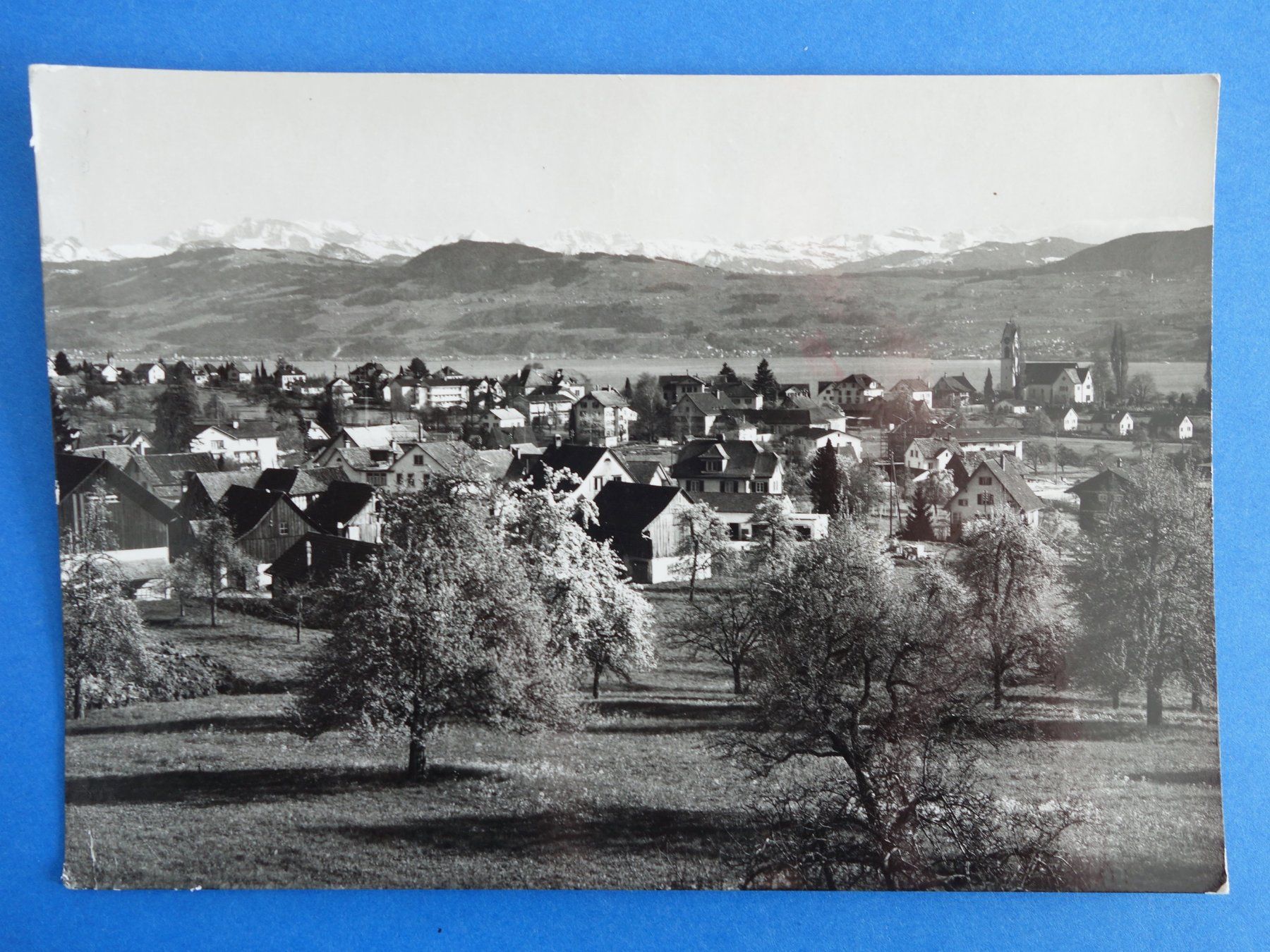 Cartes postales: UETIKON - mit den Alpen - ca. 1960 – D'occasion à Ibach par Ibanto