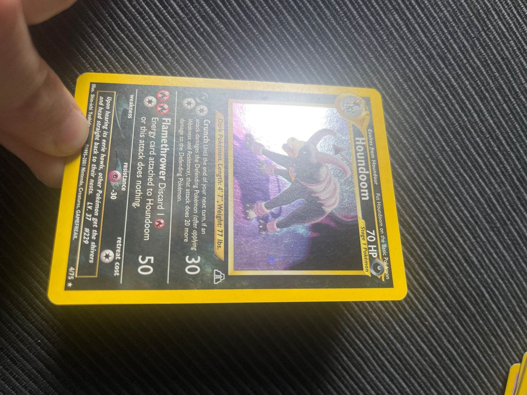 Pokémon Carte collezionabili: Pokemon Houndoom Holo Neo Discovery englisch – Usato da Wabern venduto da Collectfun 1
