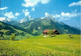 SAANEN Meiel, Gumfluh, Rüblihorn