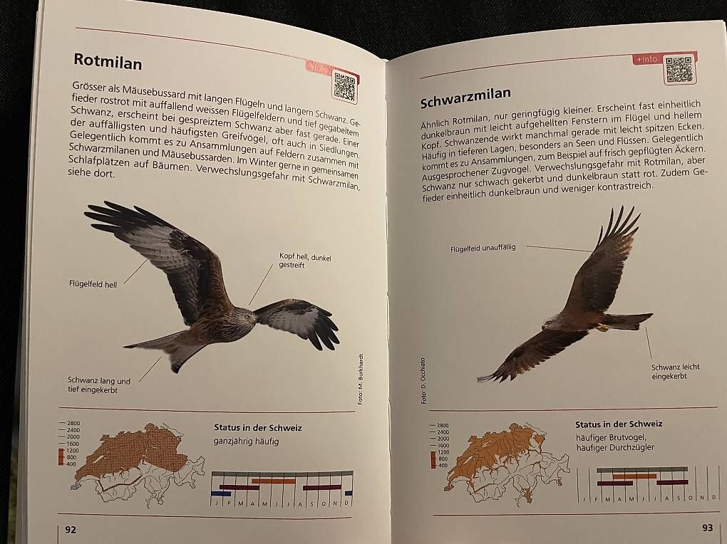 Libri: Buch "Schweizer Vögel" – Usato da Köniz venduto da mowildhaber 1