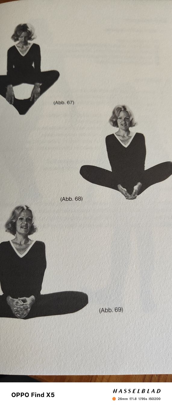 Libri: Yoga für Jeden – Usato da Volken venduto da katz5 3