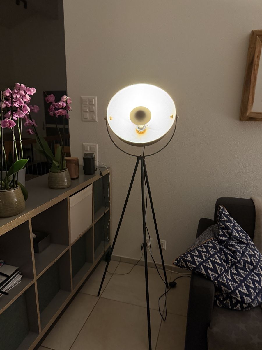 Lampade: Stehlampe höhenverstellbar – Usato da Aeschi b. Spiez venduto da fux_l5vd 2