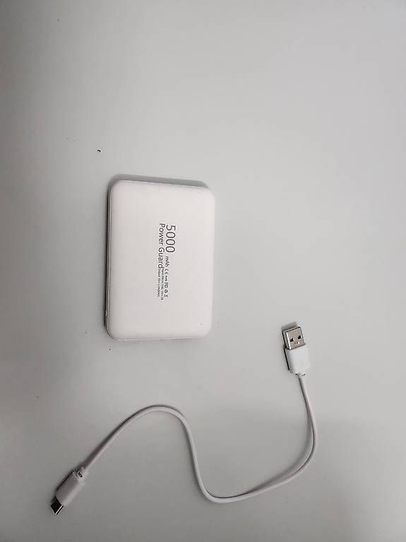 Caricabatterie: Powerbank/ externes Ladegerät – Usato da Zürich venduto da Rose_Marie