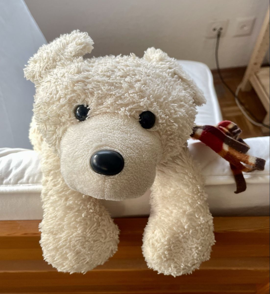 Giocattoli: Teddybär / Benny-Energiebär – Usato da Frauenfeld venduto da Ronja07