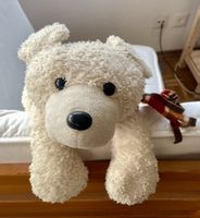 Teddybär / Benny-Energiebär