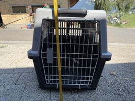 Transportbox Hundegravierer guter Zustand 