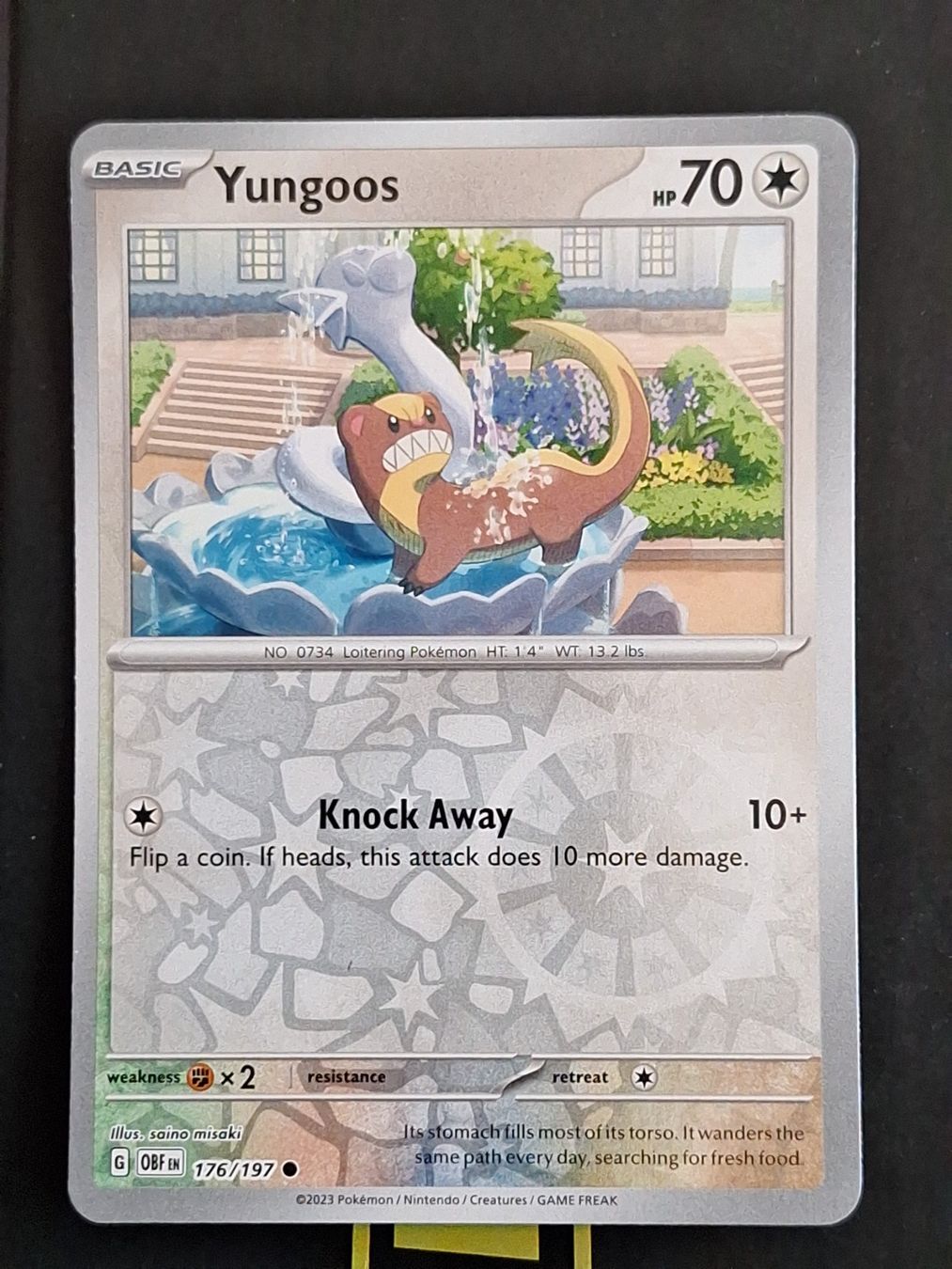 Pokémon Carte collezionabili: Yungoos - Pokemon Reverse Holo Obsidian Flames – Usato da Altstätten SG venduto da GGsGameshop