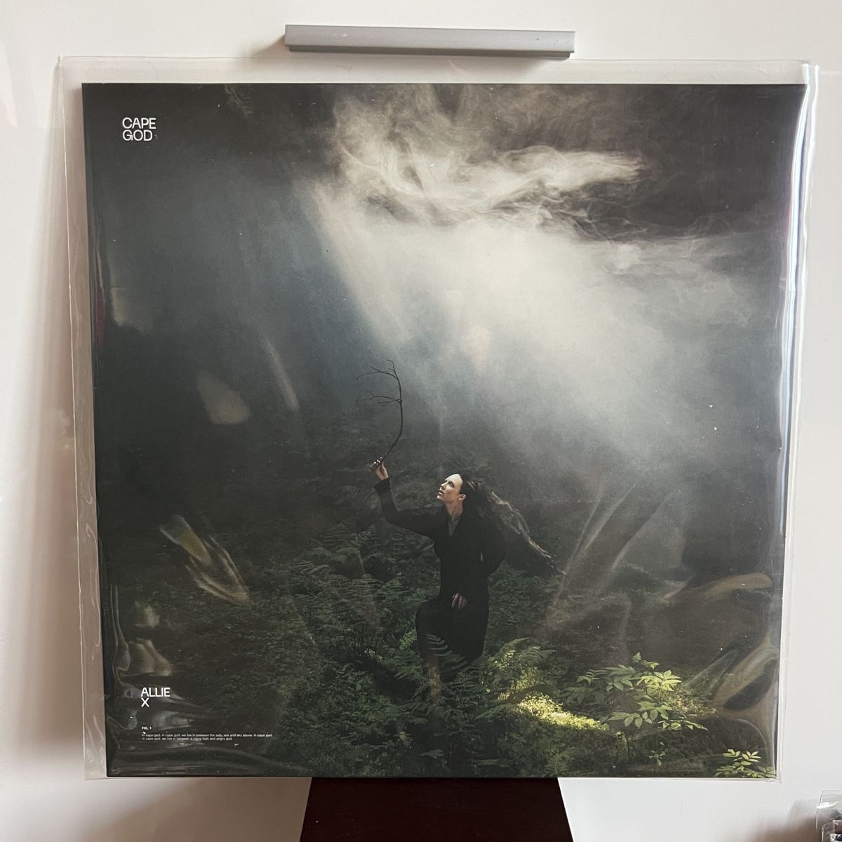 Dischi in vinile: Allie X Cape God LP – Usato da Fribourg venduto da ariesto
