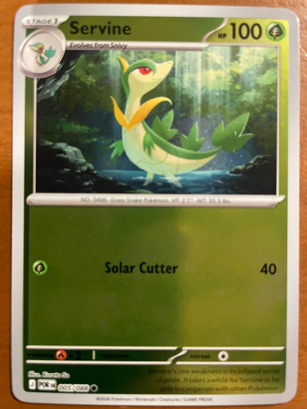 Pokémon Carte collezionabili: Pokemon Servine Reverse (Versand gratis) – Nuovo (secondo la descrizione) da Chur venduto da Angerson
