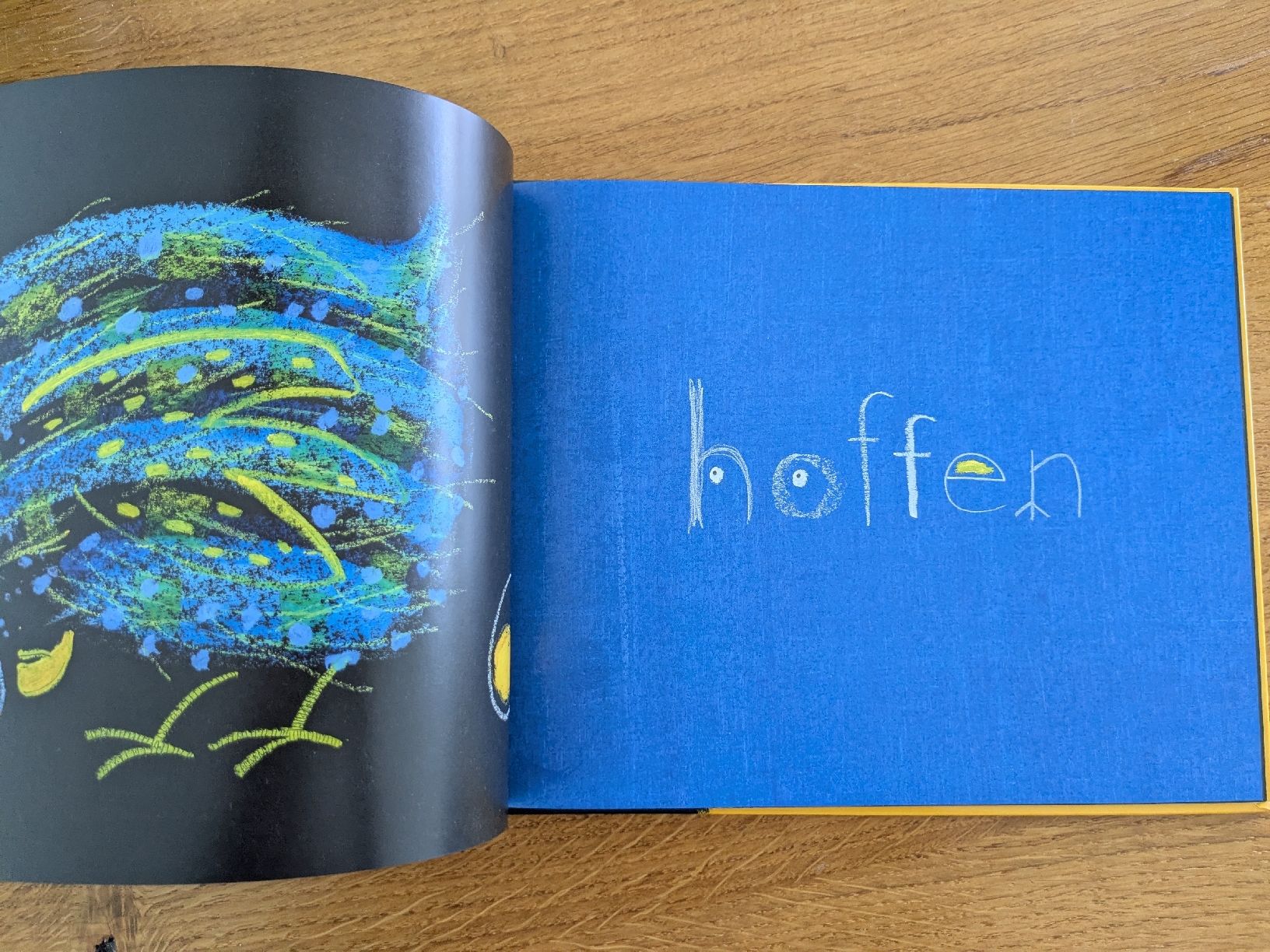 Bücher: "Überraschung!" Mies van Hout – Gebraucht aus Wohlen AG von merkur0300 1