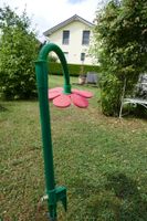 Verrückte Spritzblume
