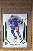 EV Zug Green Parallel Gregory Hofmann 40/60