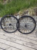 Rennrad Laufradsatz: Mavic SSC, Continental, Schwalbe 👌