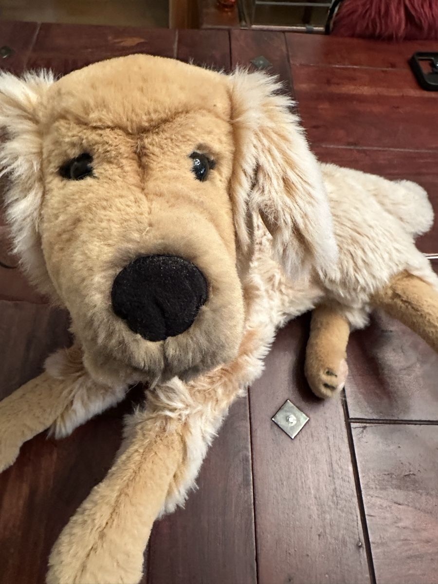 Steiff Spielzeuge: Steiff Golden Retriever Neu  – Neu (gemäss Beschreibung) aus Bern von Ruhrallee