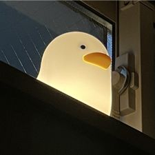 Profile image of vik_isi