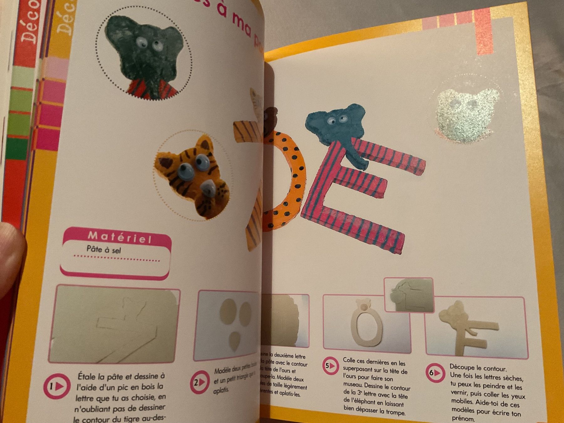 Bücher: Livre pâte à sel, Neuf – Neu und originalverpackt aus Icogne von luna.16 6
