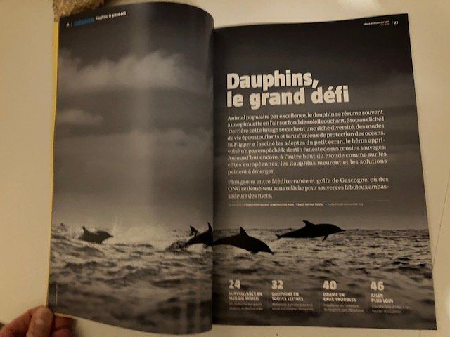 Riviste & Magazine: Revue La Salamandre - les dauphins – Usato da Les Ponts-de-Martel venduto da Jolisa 1