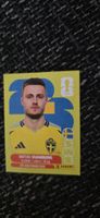 panini SWE 12
