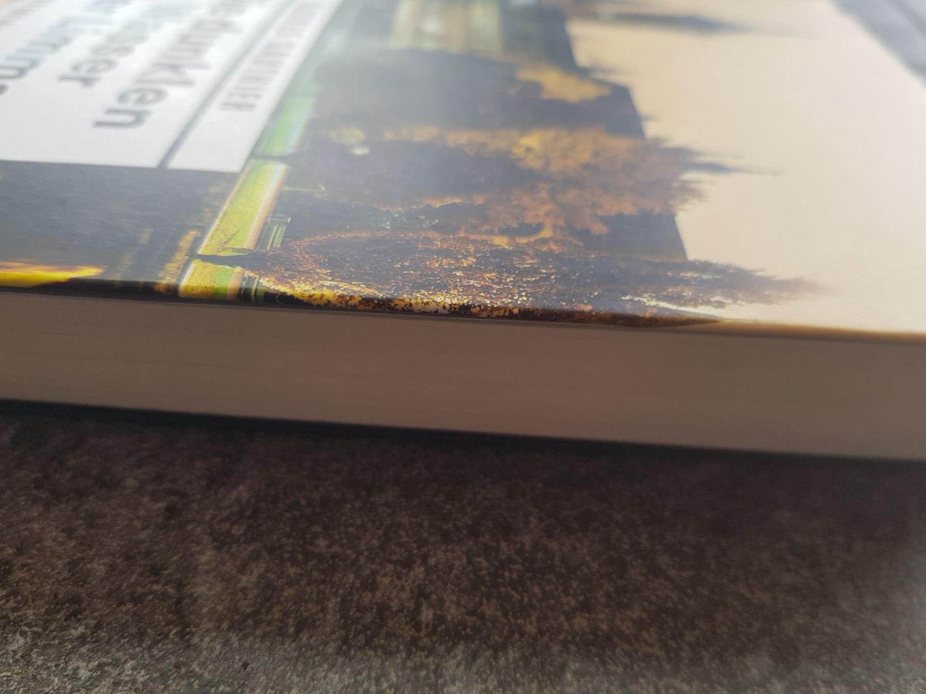 Bücher: Die dunklen Wasser der Limmat/ Saskia Gauthier / Krimi – Gebraucht aus Dietikon von marconi07 2