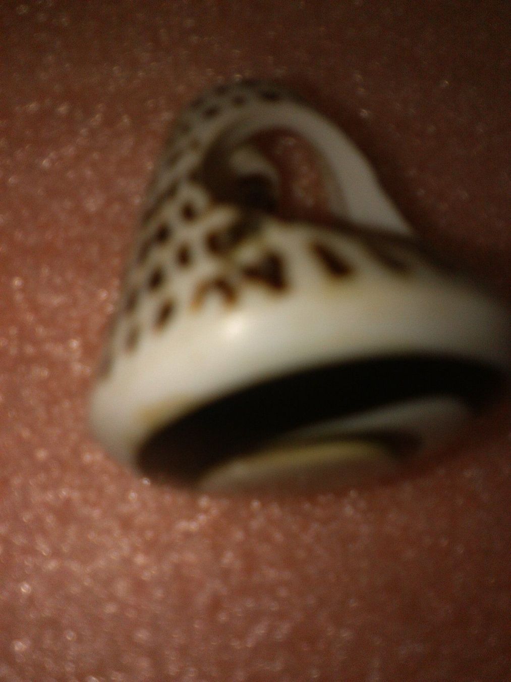 Ringe: RING MOSCHELEN,,BEIGE ,SCHWARZ – Neu (gemäss Beschreibung) aus Basel von bijoutrie_4 1